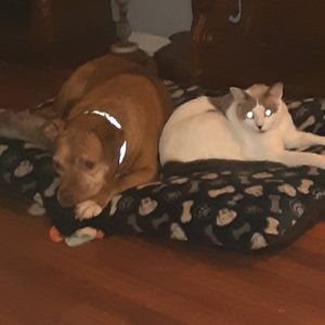 Meet your Posher, Yvette